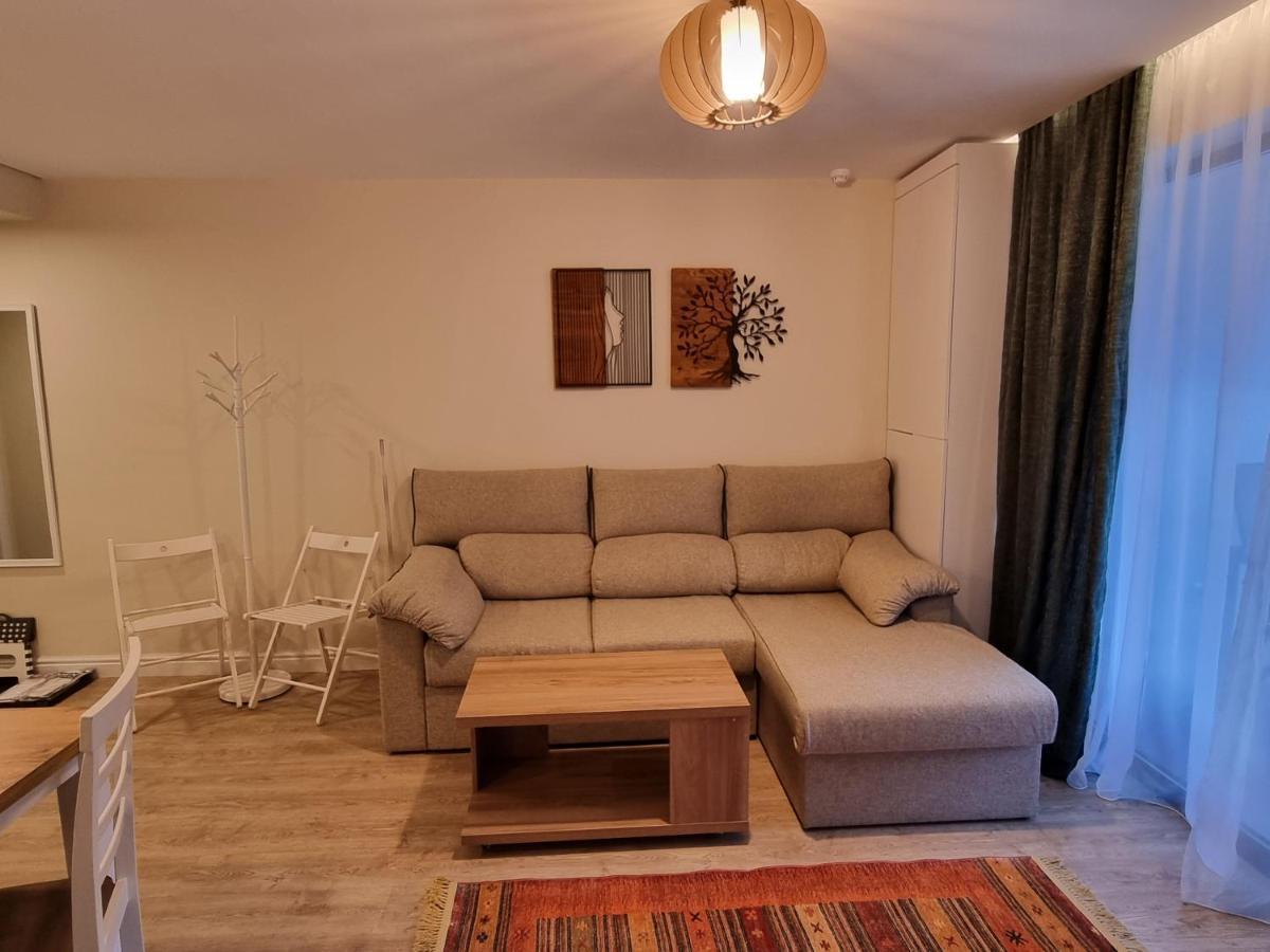 Eminescu Premium Luxury Apartments Buşteni Εξωτερικό φωτογραφία