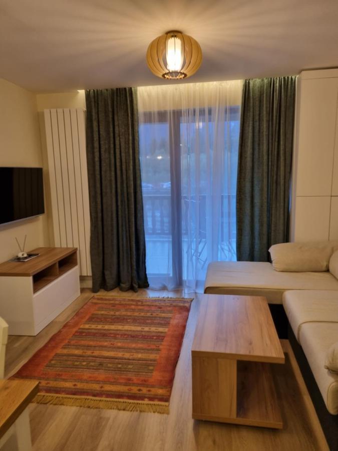 Eminescu Premium Luxury Apartments Buşteni Εξωτερικό φωτογραφία