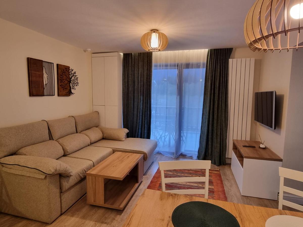 Eminescu Premium Luxury Apartments Buşteni Εξωτερικό φωτογραφία