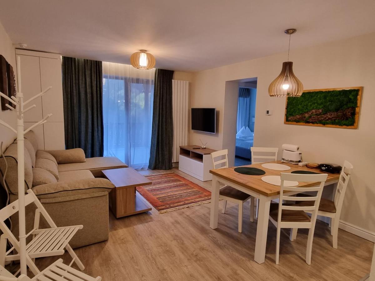Eminescu Premium Luxury Apartments Buşteni Εξωτερικό φωτογραφία