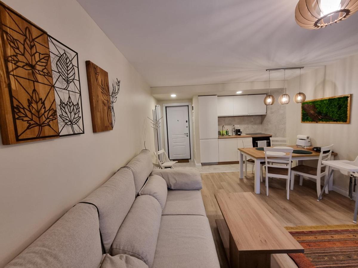 Eminescu Premium Luxury Apartments Buşteni Εξωτερικό φωτογραφία