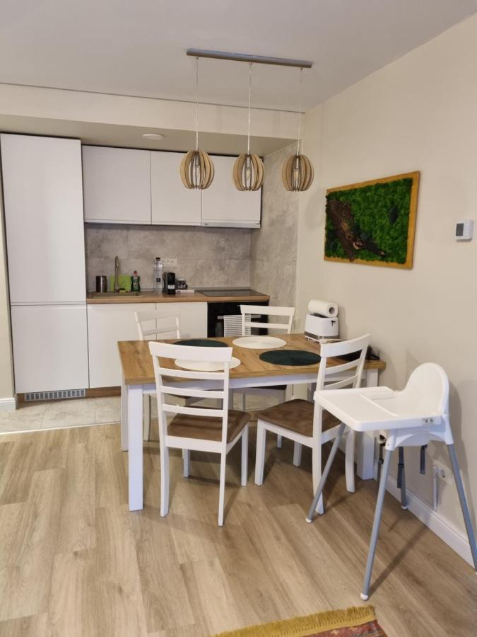 Eminescu Premium Luxury Apartments Buşteni Εξωτερικό φωτογραφία