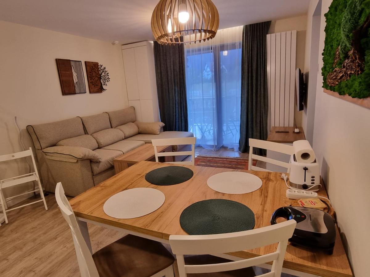 Eminescu Premium Luxury Apartments Buşteni Εξωτερικό φωτογραφία