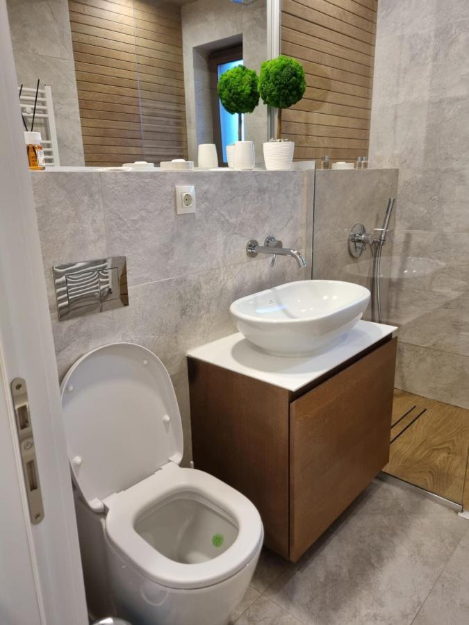 Eminescu Premium Luxury Apartments Buşteni Εξωτερικό φωτογραφία