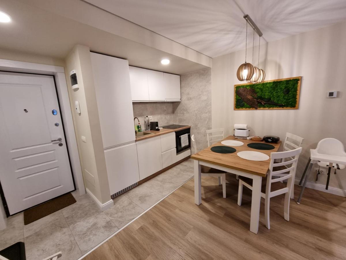 Eminescu Premium Luxury Apartments Buşteni Εξωτερικό φωτογραφία